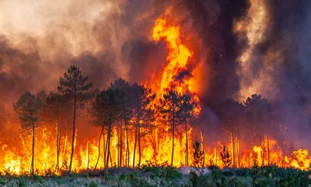 Francia recibe ayuda europea para enfrentar los incendios que arrasan miles de hectáreas. Francia recibe ayuda europea para enfrentar los incendios que arrasan miles de hectáreas.