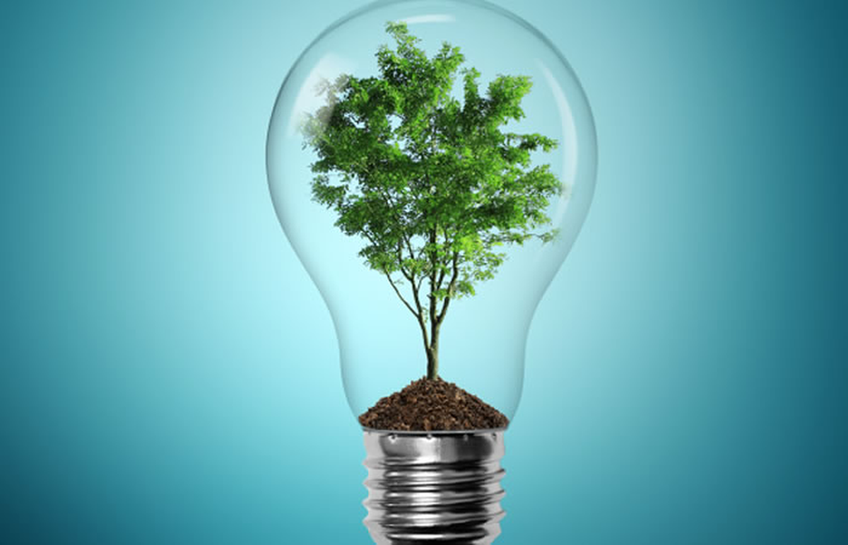 Día Mundial de la Ciencia para la Paz y el Desarrollo: ¿por qué se festeja el 10 de noviembre?