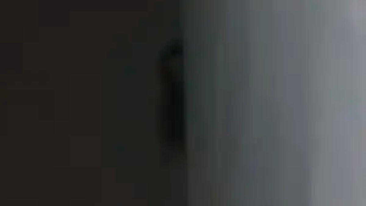 El video fue publicado por la cuenta&nbsp;@mundoparanormall