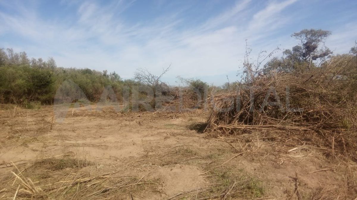 Está prohibido llevar maquinaria pesada a las islas que están entre Rosario y Victoria.