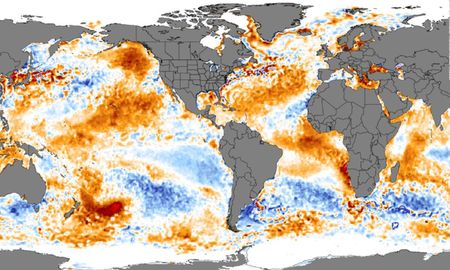 hay una mancha de mar caliente del tamano de venezuela frente a la costa de nueva zelandia hay una mancha de mar caliente del tamano de venezuela frente a la costa de nueva zelandia