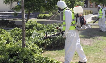 ya son mas de 30 casos de dengue en entre rios ya son mas de 30 casos de dengue en entre rios