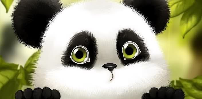 panda.jpg