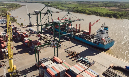 Secuestraron documentación de la naviera Grimaldi, la empresa exportadora y de un depósito fiscal. Secuestraron documentación de la naviera Grimaldi, la empresa exportadora y de un depósito fiscal.