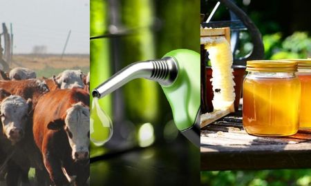 Santa Fe exige la apertura del mercados de carnes, biodiesel y miel a cambio de un acuerdo de libre comercio con los Estados Unidos. Santa Fe exige la apertura del mercados de carnes, biodiesel y miel a cambio de un acuerdo de libre comercio con los Estados Unidos.