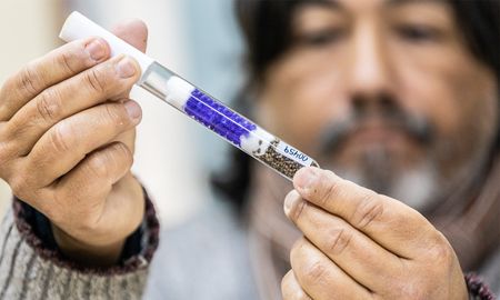 Buscan desarrollar un semillero de cannabis medicinal de última generación, preparado para satisfacer las necesidades de un mercado que crece a nivel local. Buscan desarrollar un semillero de cannabis medicinal de última generación, preparado para satisfacer las necesidades de un mercado que crece a nivel local.