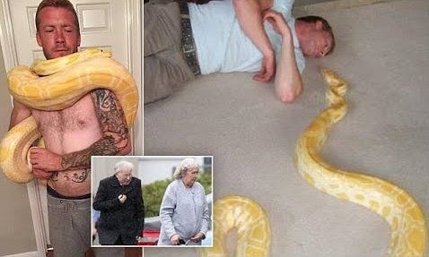 El trágico final de un fanático de las serpientes