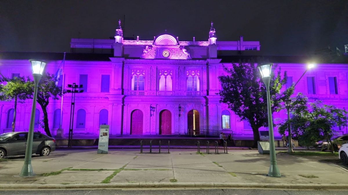 En Santa Fe, la iniciativa tendrá un fuerte despliegue: se iluminarán de violeta el rectorado de la Universidad Nacional del Litoral y la Legislatura provincial. En Santa Fe, la iniciativa tendrá un fuerte despliegue: se iluminarán de violeta el rectorado de la Universidad Nacional del Litoral y la Legislatura provincial.