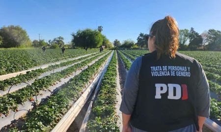 La PDI de Santa Fe rescató a 42 personas en situación de explotación laboral en Arroyo Leyes. La PDI de Santa Fe rescató a 42 personas en situación de explotación laboral en Arroyo Leyes.