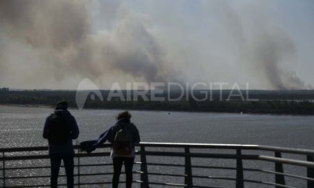 Desde hace al menos dos años, las islas del Delta del Paraná están siendo afectadas por incendios intencionales. Desde hace al menos dos años, las islas del Delta del Paraná están siendo afectadas por incendios intencionales.