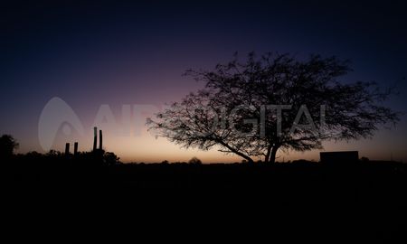 El ritual que no falla para aprovechar las energías de la noche más corta del año. El ritual que no falla para aprovechar las energías de la noche más corta del año.