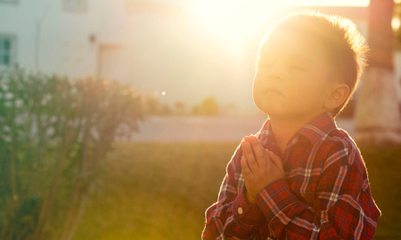 Suplícales llenen su corazón de fortaleza y sabiduría y goce de buena salud de cuerpo y espíritu. Tú que a tantos niños y jóvenes diste alivio y consuelo haz que no sufra por carencias ni por necesidades, que sus anhelos y metas se cumplan y su vida esté llena de amor, paz y bendiciones para que alcance la felicidad y la prosperidad. Suplícales llenen su corazón de fortaleza y sabiduría y goce de buena salud de cuerpo y espíritu. Tú que a tantos niños y jóvenes diste alivio y consuelo haz que no sufra por carencias ni por necesidades, que sus anhelos y metas se cumplan y su vida esté llena de amor, paz y bendiciones para que alcance la felicidad y la prosperidad.