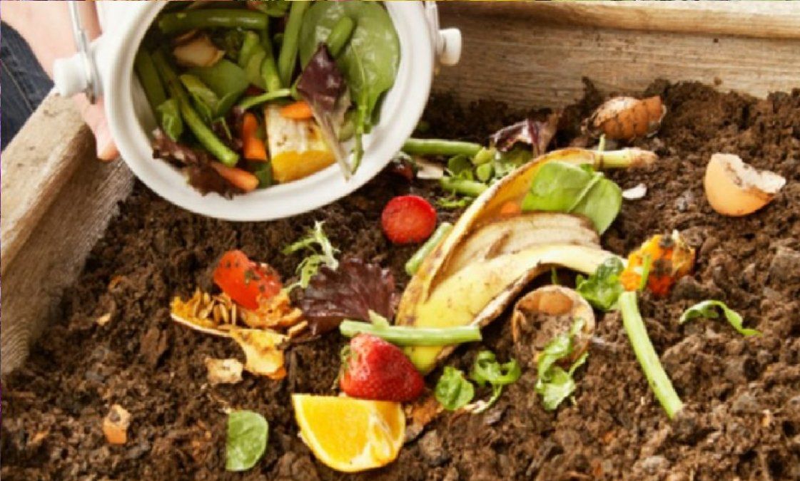 Día nacional de la conciencia ambiental: cambios que podés hacer para reducir el impacto en tu entorno