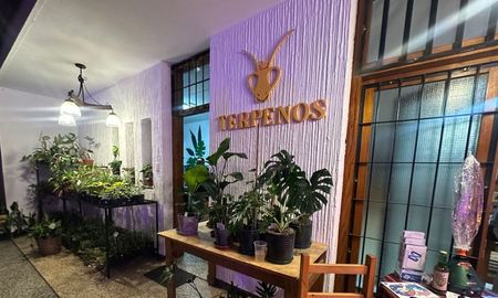 Los fundadores de Terpenos y Santa Fe Idiomas celebraron la inauguración del espacio en General Paz 5161.
