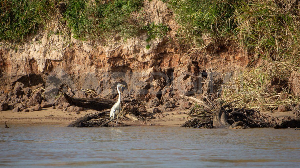 Con la bajante más importante en medio siglo