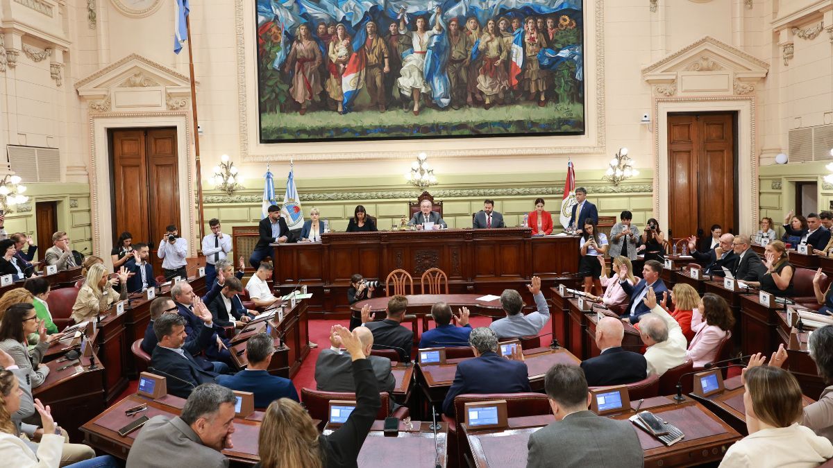 La sesión fue presidida por Felipe Michlig