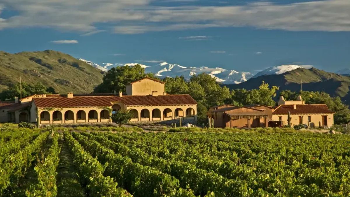 Escapada a un pequeño pueblo de Salta con un viñedo de altura que enamora con su vino y sus paisajes.
