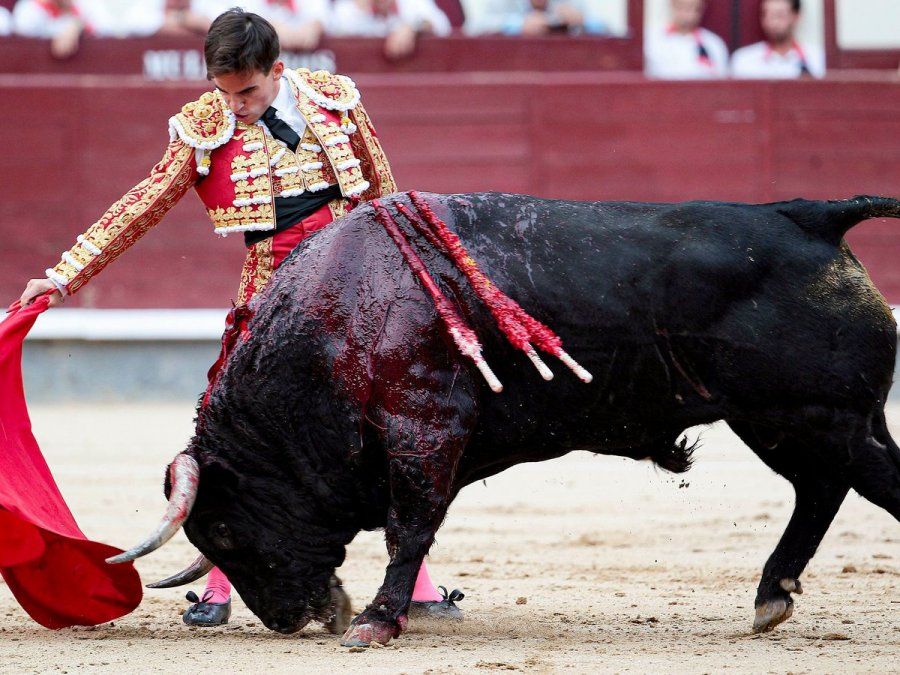 Crueldad hacia los animales