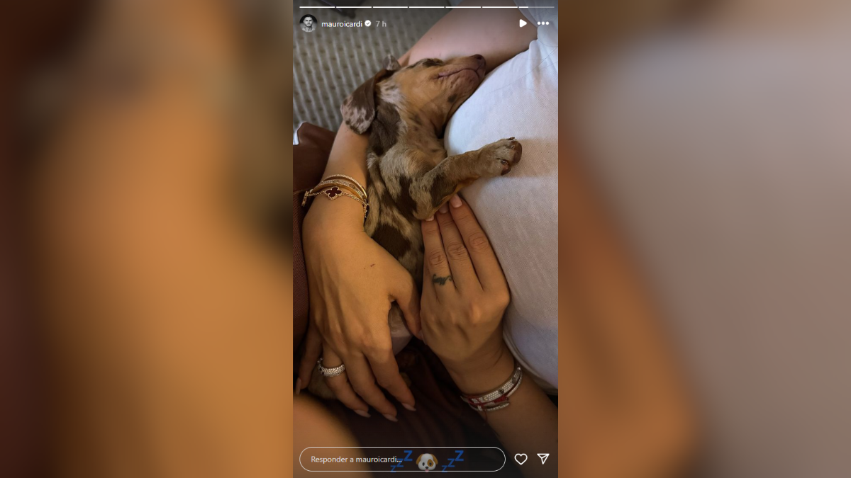 Mauro Icardi confirmó que está con Wanda Nara. Mauro Icardi confirmó que está con Wanda Nara.