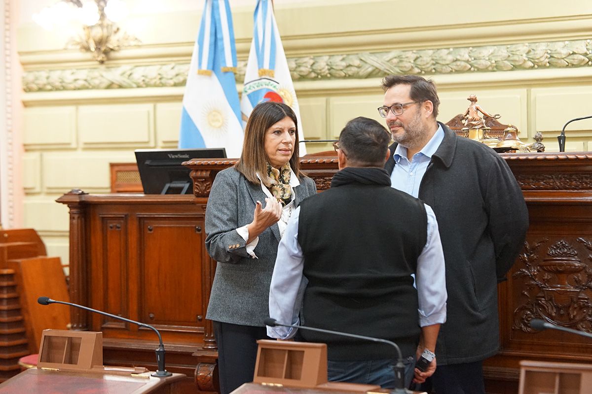 Clara García supervisó las tareas de adecuación realizadas en la Cámara baja para albergar a la Convención Constituyente.