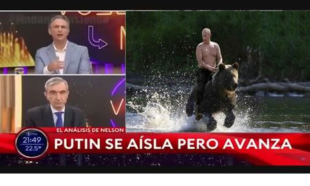 Nelson Castro aseguró que el oso que Putin montó estaba amaestrado y quedó en ridículo: era un meme Nelson Castro aseguró que el oso que Putin montó estaba amaestrado y quedó en ridículo: era un meme