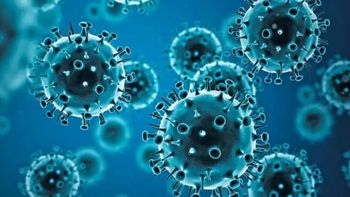 La nueva variante presenta mutaciones en un componente fundamental del virus, que podría aumentar su capacidad de transmisión y permitirle evadir parcialmente la respuesta del sistema inmunológico. La nueva variante presenta mutaciones en un componente fundamental del virus, que podría aumentar su capacidad de transmisión y permitirle evadir parcialmente la respuesta del sistema inmunológico.