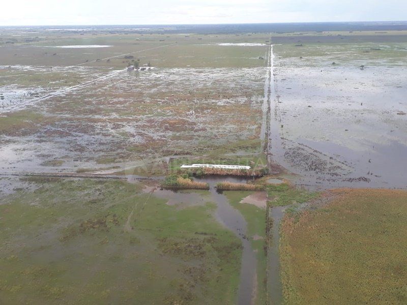 Inundaciones en el departamento 9 de Julio: “Nunca se vio algo así en la zona”