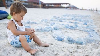 Cómo prevenir las principales afecciones que aquejan a los niños en el verano