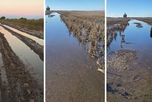 A un mes del temporal, los campos de Villa Minetti continúan bajo el agua. A un mes del temporal, los campos de Villa Minetti continúan bajo el agua.
