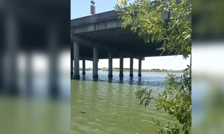 Hombre nutria en La Plata: cruzó una laguna nadando para evitar ser detenido Hombre nutria en La Plata: cruzó una laguna nadando para evitar ser detenido