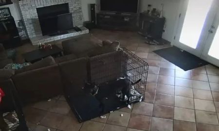 Video: Un fantasma le sacó el collar a mi perra Video: Un fantasma le sacó el collar a mi perra