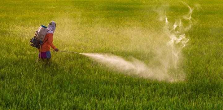 Ludmila: con sólo dos años tiene glifosato en sangre y está al borde de la leucemia