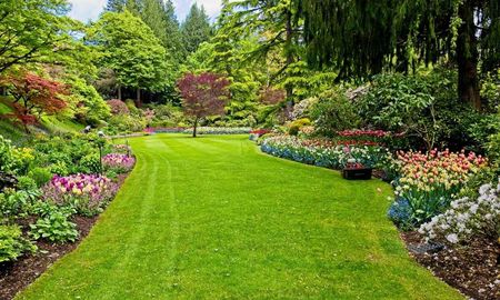 Estos son los mejores árboles con flores para atraer pajaritos al jardín esta primavera. Estos son los mejores árboles con flores para atraer pajaritos al jardín esta primavera.