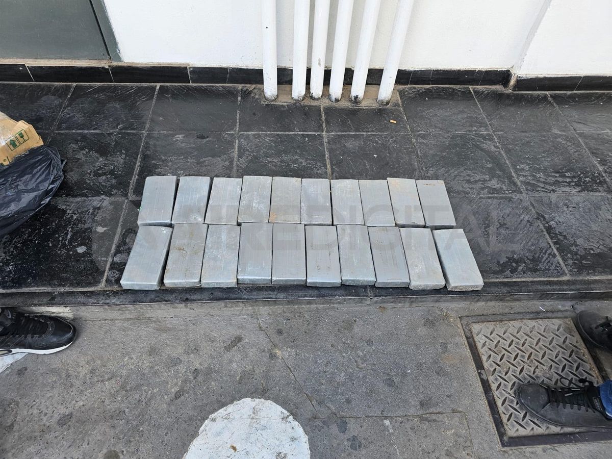 El procedimiento terminó con el secuestro de múltiples panes con cocaína.