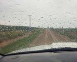 Aunque las lluvias estuvieron concentradas en apenas dos episodios, el acumulado mensual superó ampliamente los registros históricos Aunque las lluvias estuvieron concentradas en apenas dos episodios, el acumulado mensual superó ampliamente los registros históricos
