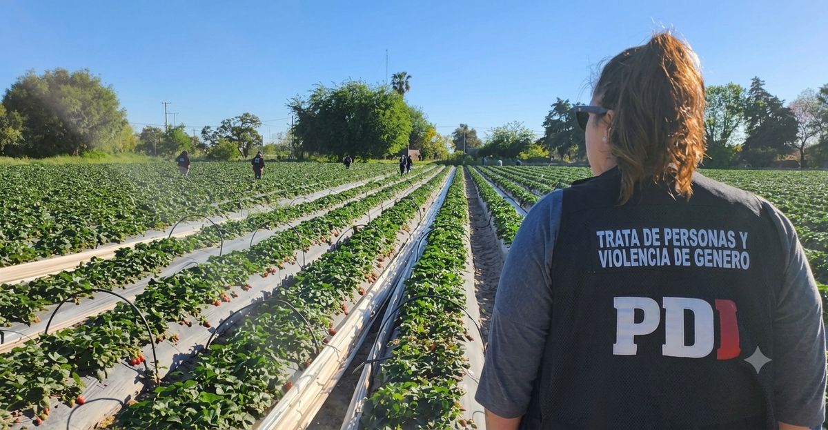 Personal de Trata de Personas en la quinta de frutillas de Arroyo Leyes que fue allanada.&nbsp;