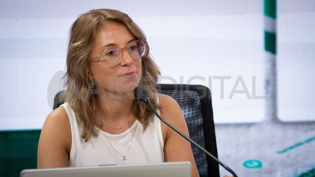 &nbsp;Esperamos que hoy el Ministerio de Transporte de la Nación brinde una alternativa a los usuarios del interior