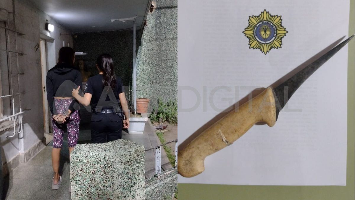 Una joven de 24 años fue detenida con un cuchillo oculto en su cartera.