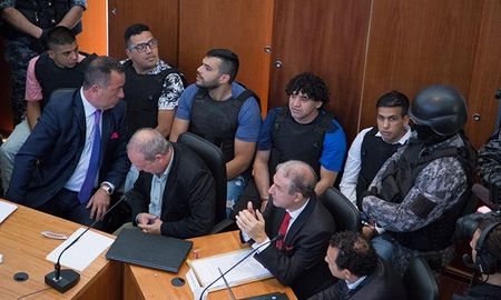 el juicio a los monos ingresa en la etapa final el juicio a los monos ingresa en la etapa final