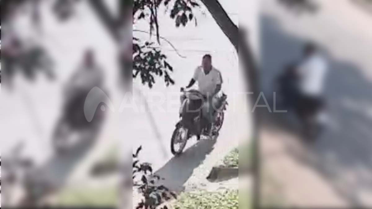 Video: un ladrón le robó en segundos a una mujer en el barrio María Selva