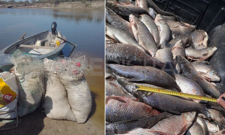 Incautaron más de 200 sábalos y siete mallas en Gobernador Candioti