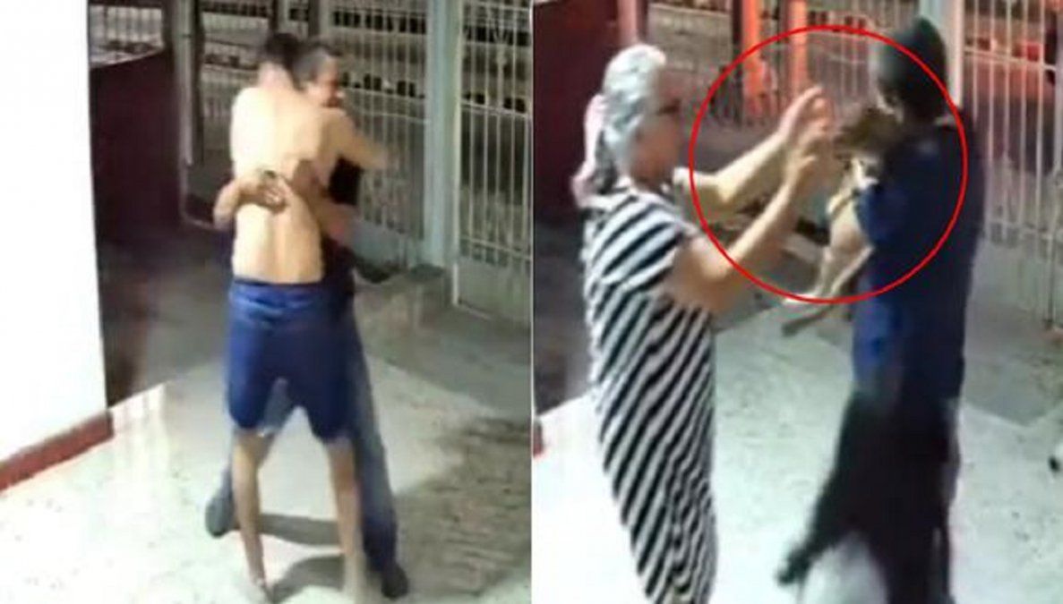 El emocionante encuentro entre una familia y su perrito extraviado.