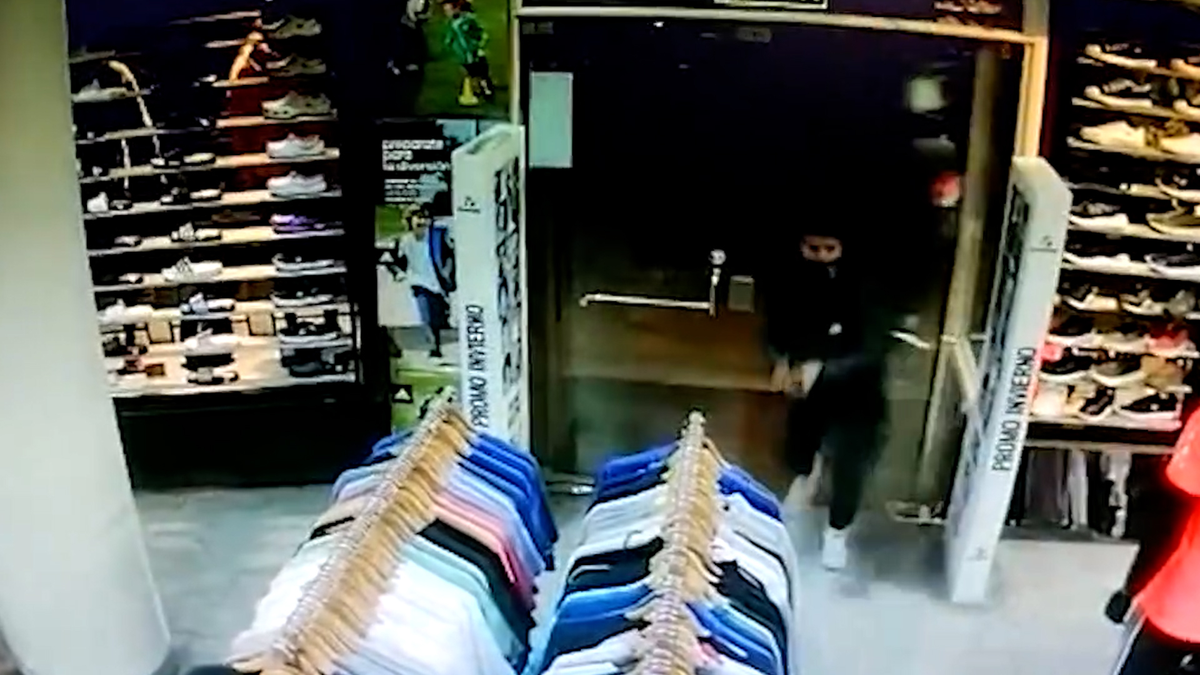 Cuatro delincuentes ingresaron armados a un comercio en La Plata