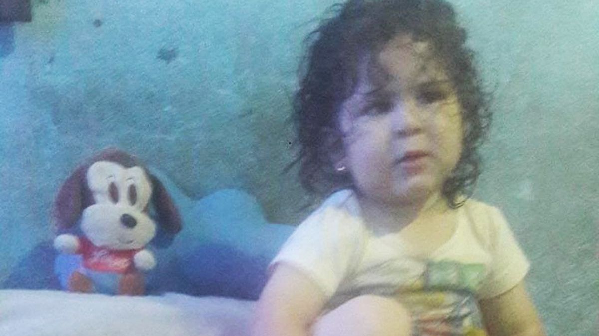 Red Solidaria busca a Noah