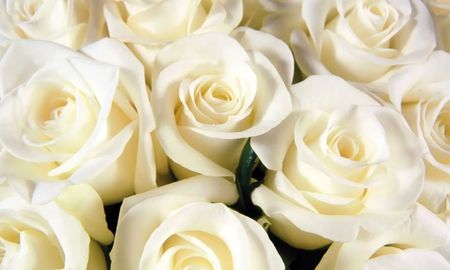 Las rosas blancas son símbolo de pureza e inocencia. Las rosas blancas son símbolo de pureza e inocencia.
