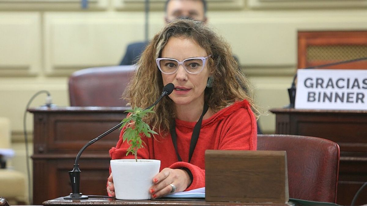 Para la diputada Peralta, las farmacias deberían cumplir un rol comercial o de distribución del medicamento, pero sin dejar de lado la posibilidad de que las personas o las familias puedan cultivar.