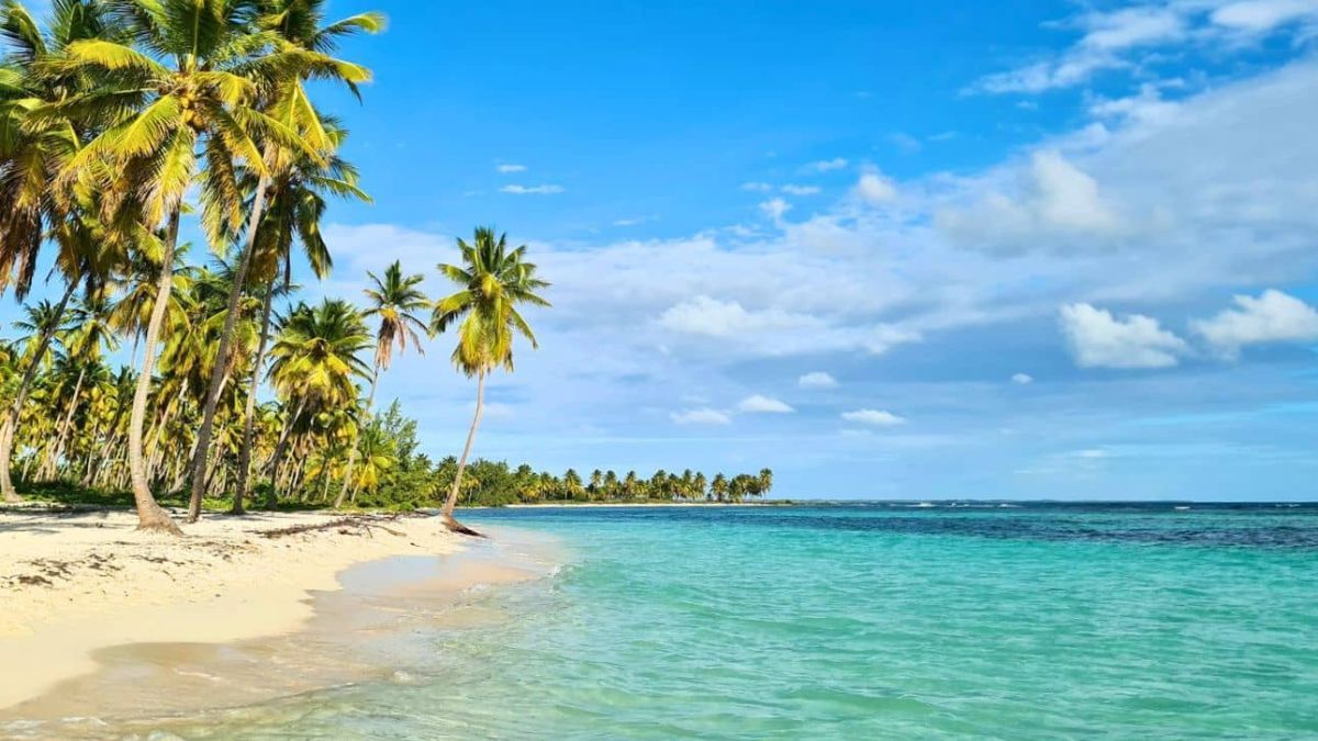 La estrategia aérea para 2026 busca que los turistas de Mendoza, Rosario y Córdoba vuelen directo a Punta Cana sin pasar por Buenos Aires, potenciando los casi 900 mil asientos anuales disponibles. La estrategia aérea para 2026 busca que los turistas de Mendoza, Rosario y Córdoba vuelen directo a Punta Cana sin pasar por Buenos Aires, potenciando los casi 900 mil asientos anuales disponibles.