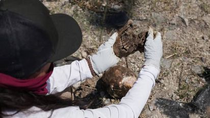 Grupos voluntarios encuentran más de 1000 restos óseos en una fosa común que ya había sido revisada por oficiales