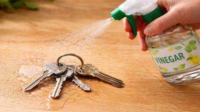 Por qué recomiendan rociar las llaves con vinagre blanco y qué precauciones tener