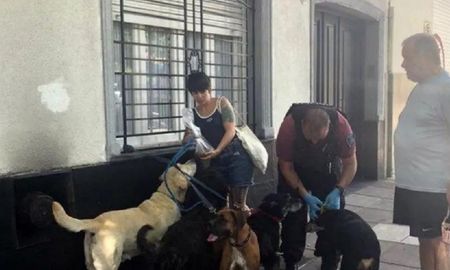un paseador sufrio muerte subita en plena calle y los perros quedaron abandonados un paseador sufrio muerte subita en plena calle y los perros quedaron abandonados
